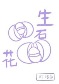 生石花H 生石花H